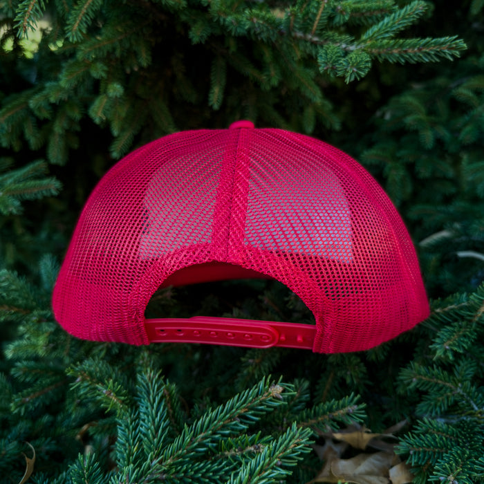 RED mesh cap on a green pine branch