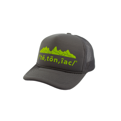 Tetoniac® Phonetic 5 Panel Curved Bill Foam Trucker Hat- Dark Grey & Electric Lime