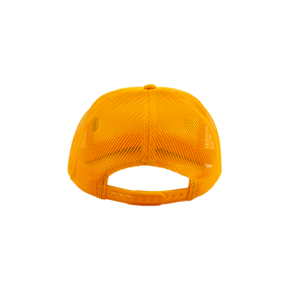Country Road Scholar™ Foam Trucker Hat - Gold & Navy