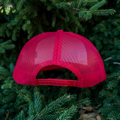 RED mesh cap on a green pine branch