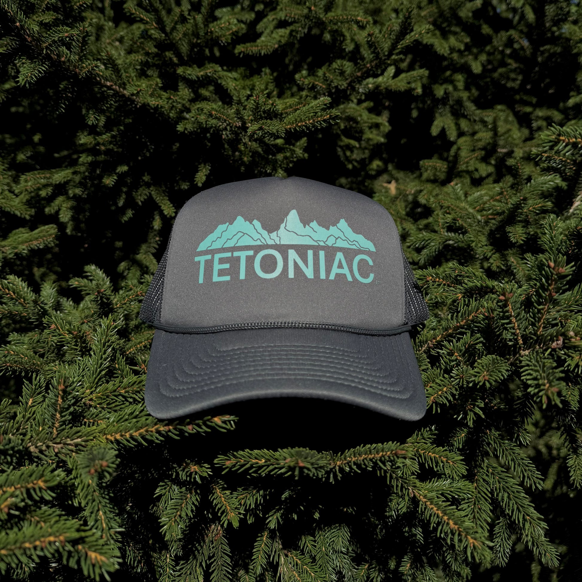 A coal colored 5 panel foam trucker hat with the Tetoniac logo in Seafoam displayed against a backdrop of green pine needles.